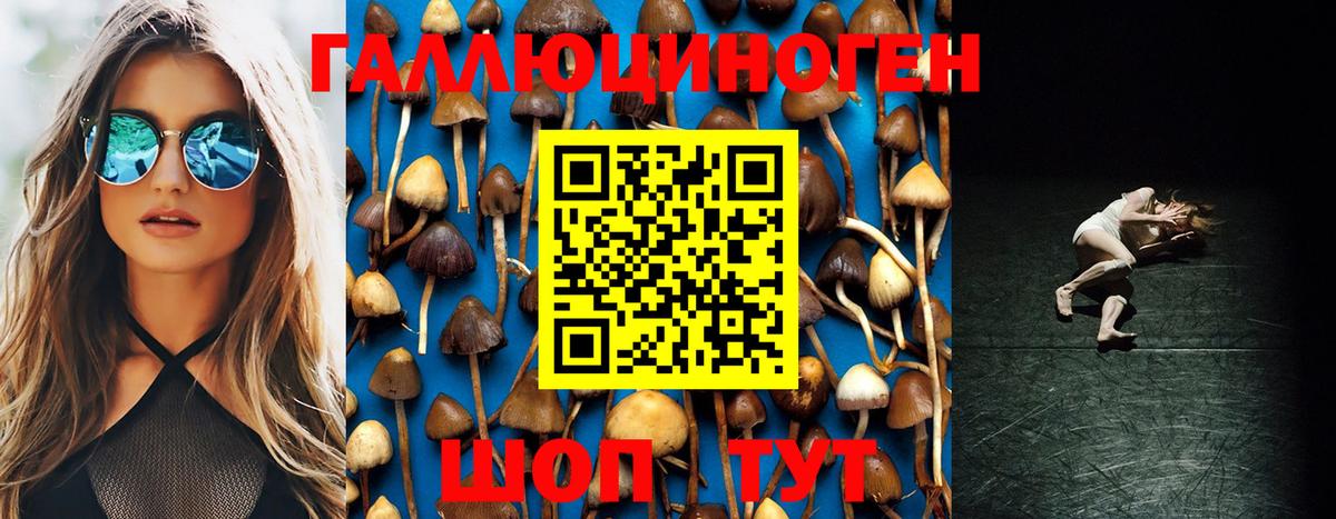 Галлюциногенные грибы MAGIC MUSHROOMS  Вход с VPN  Отрадное  Галлюциногенные грибы GOLDEN TEACHER 